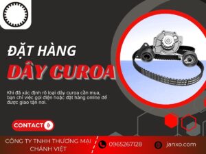 chanh viet 6