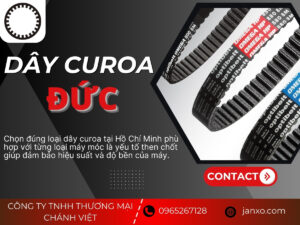 Dây curoa Đức