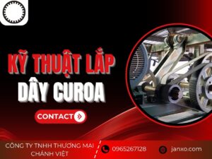 Day curoa 1 18