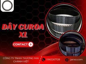 Dây curoa XL