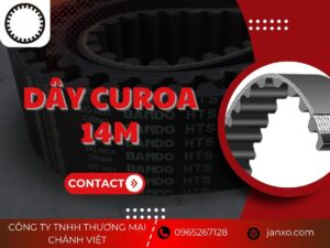 Dây curoa 14M
