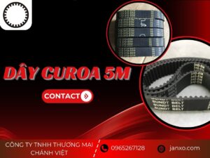 Dây curoa 5M