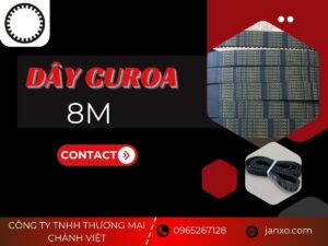 Dây curoa 8M