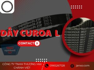 Dây curoa L